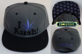 Snapback DGK 02