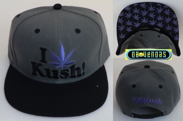 Snapback DGK 02